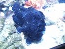PICT0152.JPG