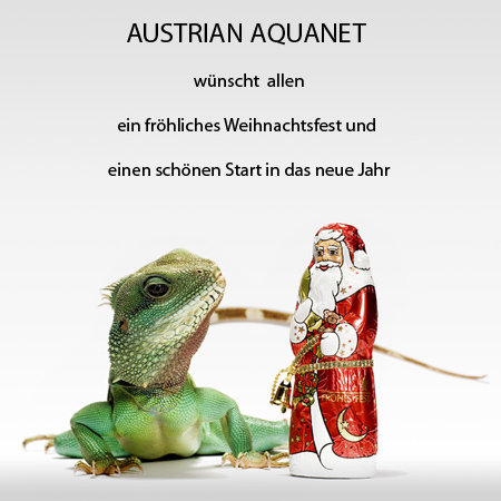 AUSTRIAN AQUANET  w�nscht ein frohes Weihnachtsfest und einen guten Start ins neue Jahr